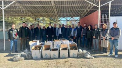 Bilecik'in Pazaryeri ilçesinde, 2025 Yılı Çilek Üretimini Geliştirme Projesi kapsamında