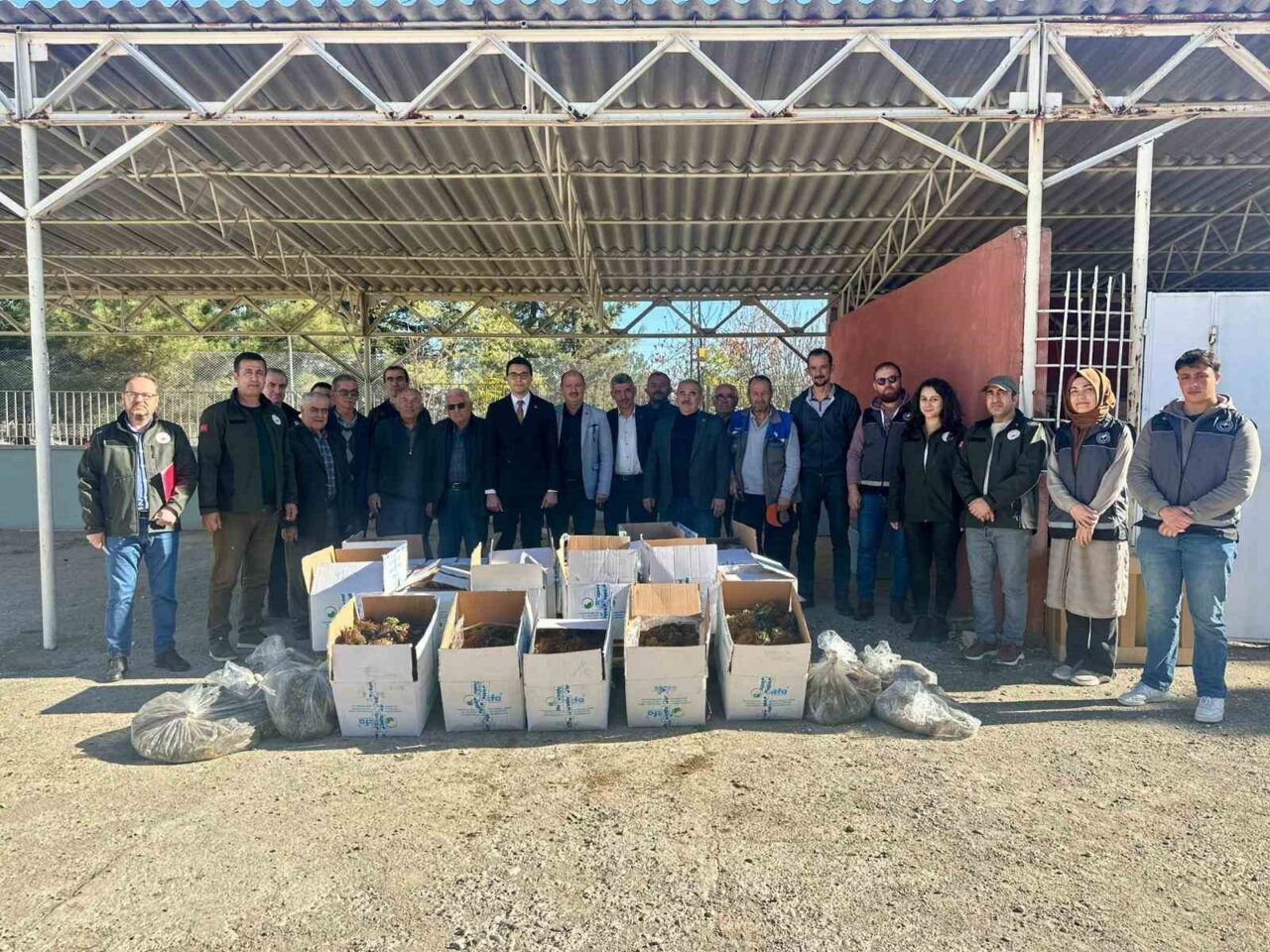 Bilecik'in Pazaryeri ilçesinde, 2025 Yılı Çilek Üretimini Geliştirme Projesi kapsamında