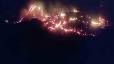 Bilecik'in Pazaryeri ilçesinde O.D.'ye ait bir çiftlikte çürümüş ağaç ve