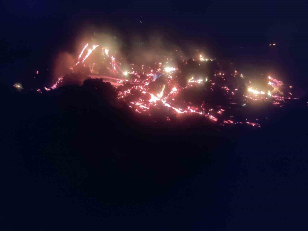 Bilecik'in Pazaryeri ilçesinde O.D.'ye ait bir çiftlikte çürümüş ağaç ve