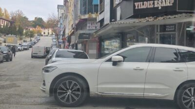 Bilecik'te İstiklal Mahallesi Şerifpaşa Caddesi'nde bir araç sürücüsü, görme engellilerin
