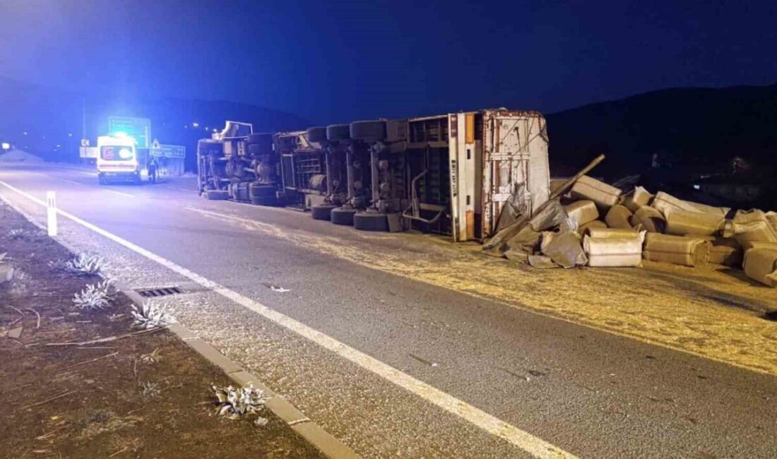 Bingöl-Erzurum karayolunda, 12 AFN 110 plakalı saman yüklü kamyon, sürücüsünün