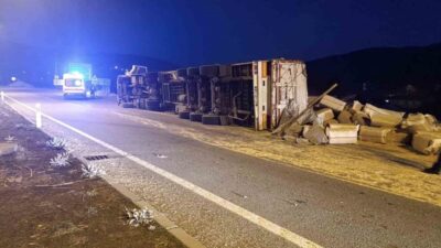 Bingöl-Erzurum karayolunda, 12 AFN 110 plakalı saman yüklü kamyon, sürücüsünün