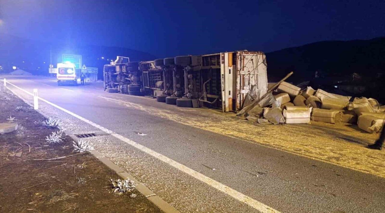 Bingöl-Erzurum karayolunda, 12 AFN 110 plakalı saman yüklü kamyon, sürücüsünün
