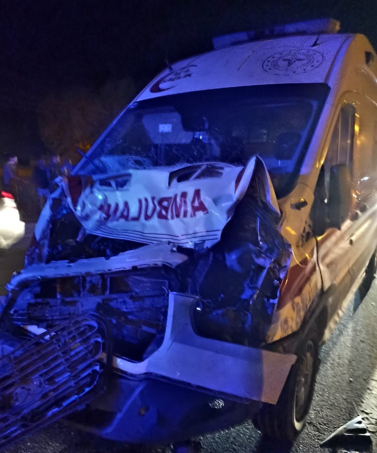 Muş’tan Van’a Hasta Taşıyan Ambulans, Güroymak’ta Mandaya Çarptı; Hasta Diğer Ambulansla Nakledildi