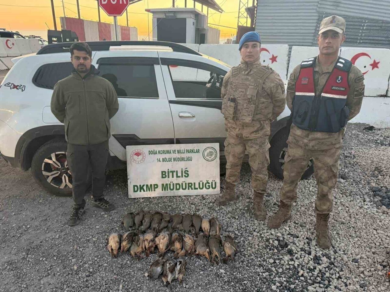 Bitlis'te Adilcevaz Jandarma Komutanlığı ve Doğa Koruma Müdürlüğü tarafından yapılan