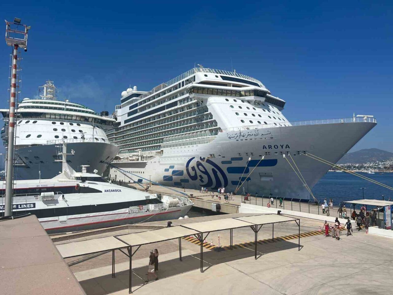 2025 yılına ait kruvaziyer sezonu, Bodrum'da toplam 116 gemi ile