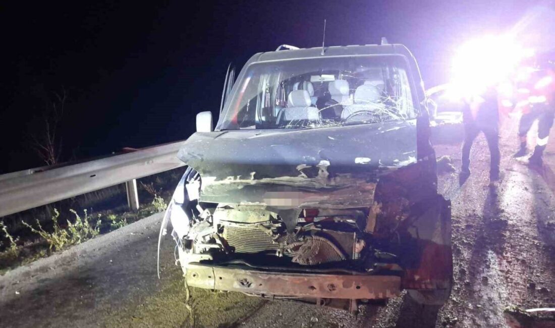 Bolu'da TEM Otoyolu'nda meydana gelen kazada, Muhammed Y. O. yönetimindeki