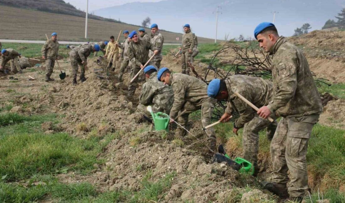 Bolu Komandoları, Orman Yangınlarının Ardında Yeniden Doğuş İçin Fidan Dikimini Gerçekleştirdi Bolu 2. Komando Tugayı, Mudurnu'da gerçekleşen orman yangınının ardından, bölgenin