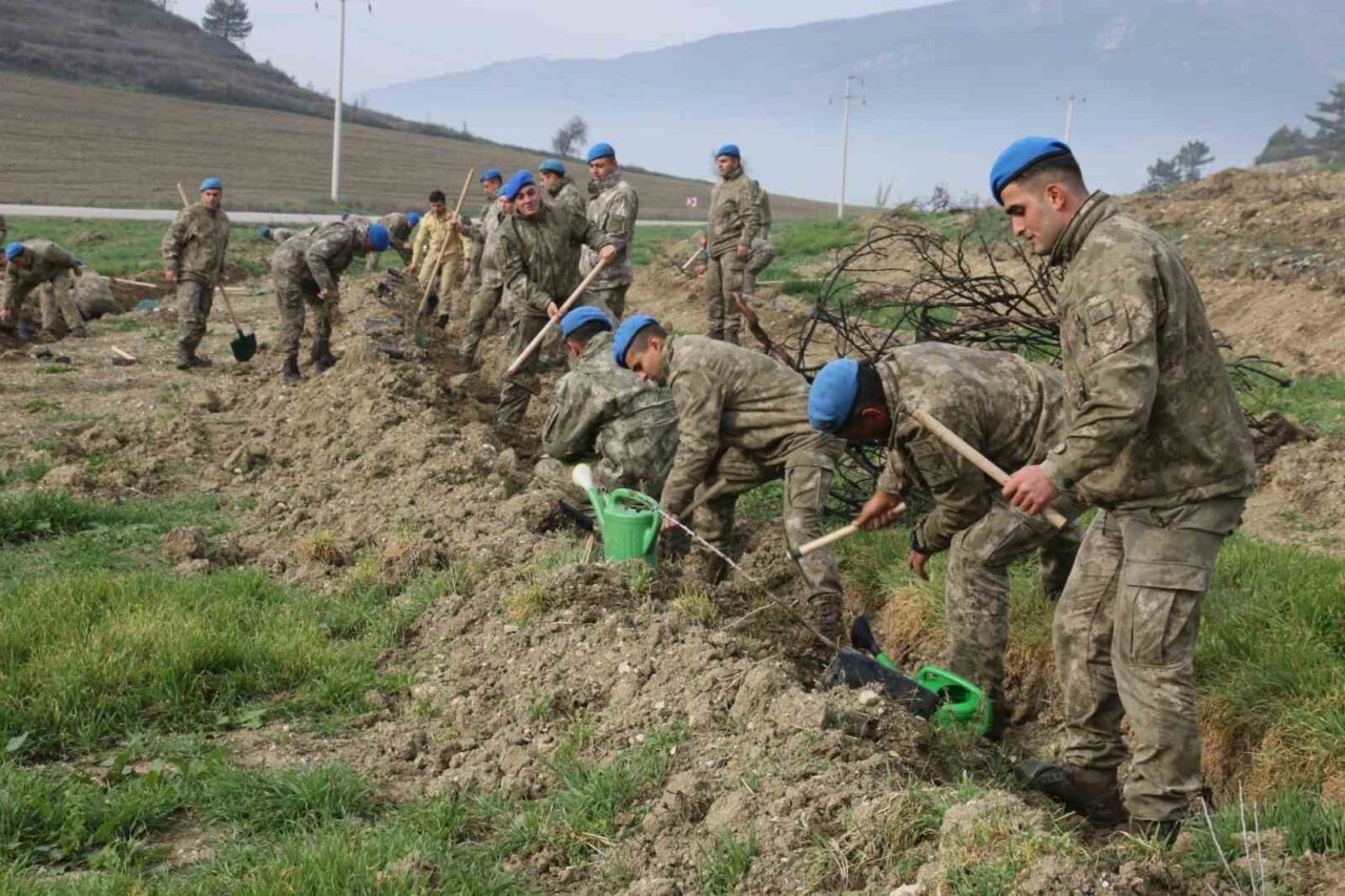 Bolu 2. Komando Tugayı, Mudurnu'da gerçekleşen orman yangınının ardından, bölgenin