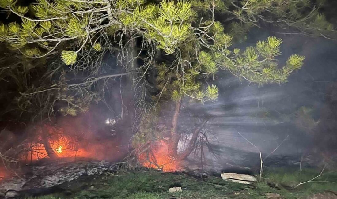 Bolu'nun Mudurnu ilçesinde Gürçam Köyü yakınlarındaki ormanlık alanda çıkan yangın,