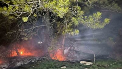 Bolu'nun Mudurnu ilçesinde Gürçam Köyü yakınlarındaki ormanlık alanda çıkan yangın,
