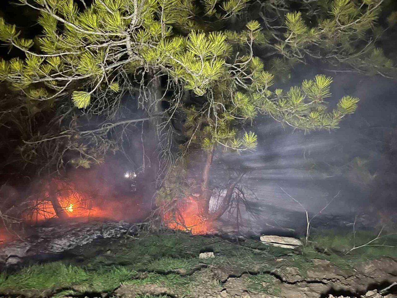 Bolu'nun Mudurnu ilçesinde Gürçam Köyü yakınlarındaki ormanlık alanda çıkan yangın,
