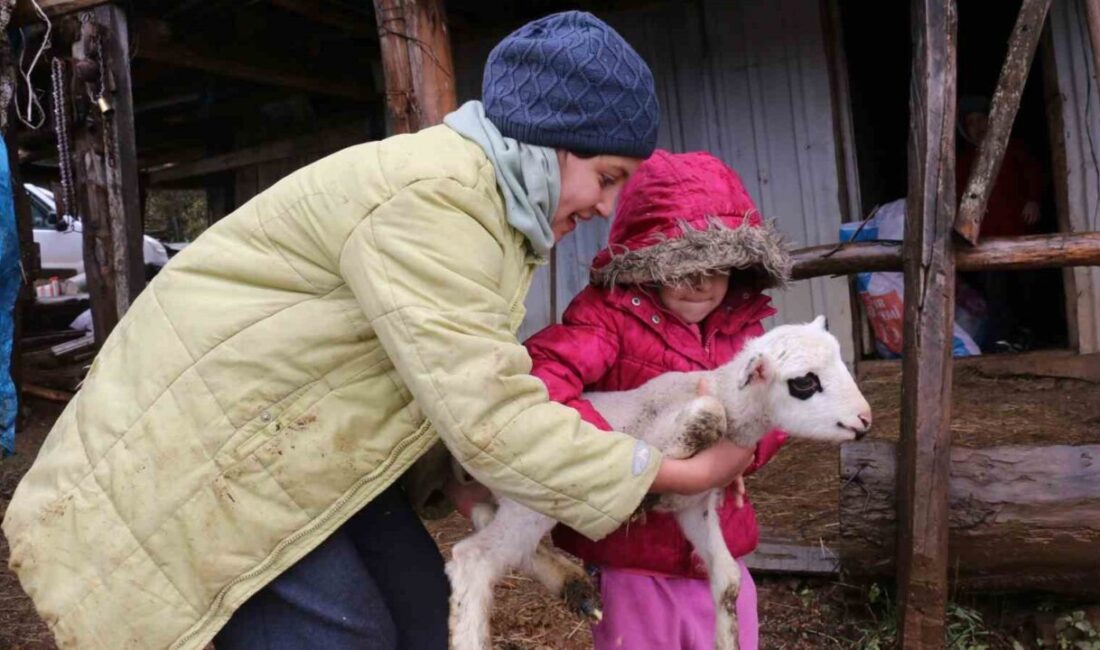 Mudurnu’da Kış Göçü Başladı: Besiciler Kar Yağışı Nedeniyle Yaylalardan Köylere İniyor Bolu'nun Mudurnu ilçesinde Bilgin ailesi, soğuyan hava ve kar yağışı