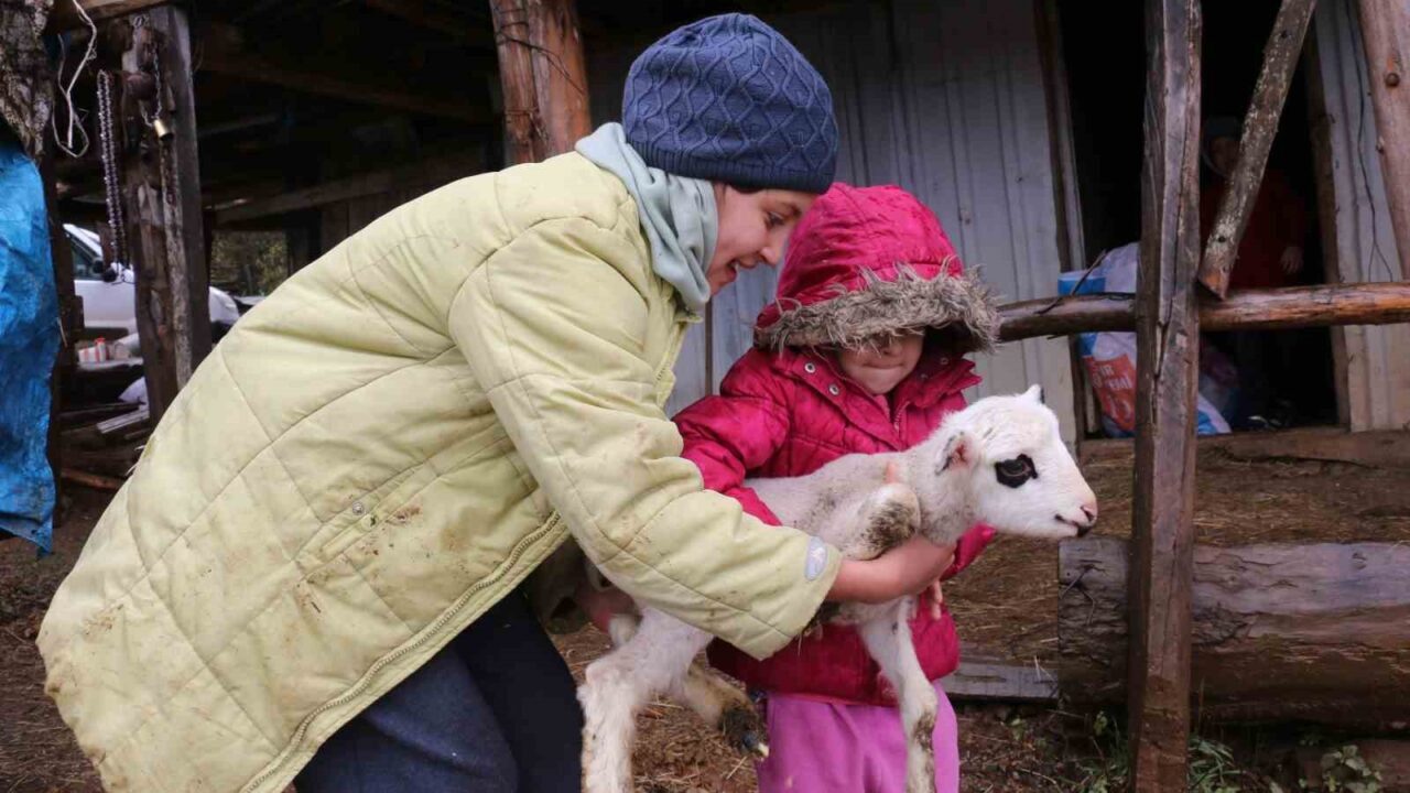 Bolu'nun Mudurnu ilçesinde Bilgin ailesi, soğuyan hava ve kar yağışı