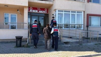 Çanakkale'nin Ayvacık ilçesinde, 12 gün önce boş bir arazide bulunan