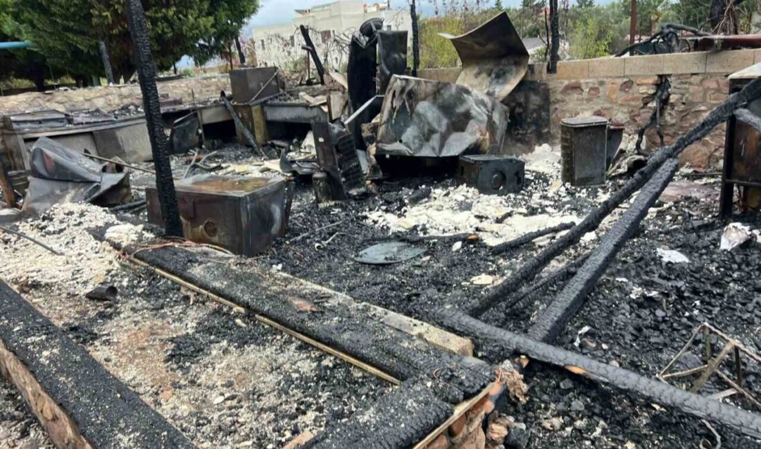 Bozcaada’da 16 Odalı Otel Yangında Kül Olurken, Bir Köpek Telef Oldu Bozcaada'da 16 odalı bir otel, sabah saatlerinde çıkan yangında tamamen