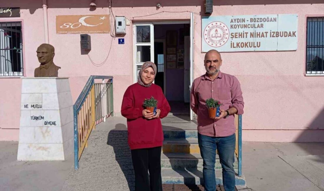 Bozdoğan Belediyesi, 24 Kasım Öğretmenler Günü'nde öğretmenlere saksıda canlı karanfil