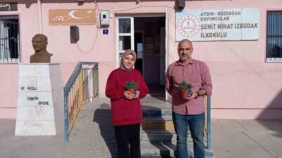 Bozdoğan Belediyesi, 24 Kasım Öğretmenler Günü'nde öğretmenlere saksıda canlı karanfil