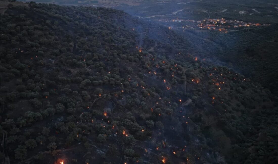 Aydın'ın Bozdoğan ilçesindeki Kavaklı Mahallesi'nde ziraat alanında başlayan yangın, rüzgarın