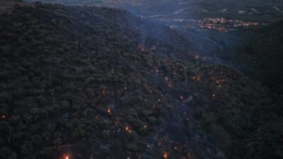 Aydın'ın Bozdoğan ilçesindeki Kavaklı Mahallesi'nde ziraat alanında başlayan yangın, rüzgarın