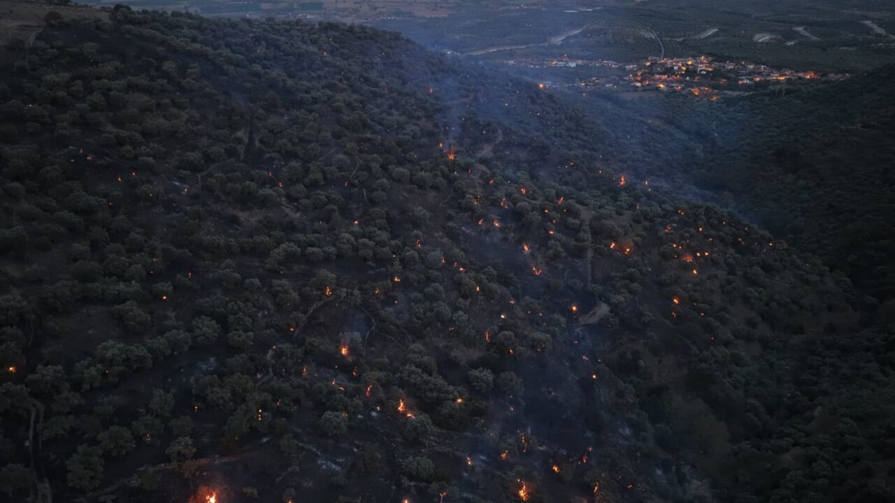 Aydın'ın Bozdoğan ilçesindeki Kavaklı Mahallesi'nde ziraat alanında başlayan yangın, rüzgarın
