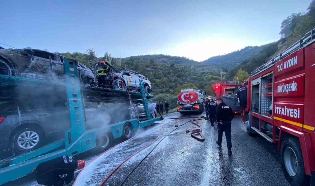 Aydın'ın Bozdoğan ilçesinde bir tırda çıkan yangın, itfaiye ekipleri tarafından