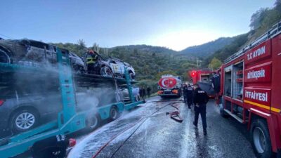 Aydın'ın Bozdoğan ilçesinde bir tırda çıkan yangın, itfaiye ekipleri tarafından