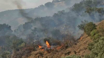 Aydın'ın Bozdoğan ilçesinde Kavaklı Mahallesi'nde çıkan orman yangını, rüzgarın etkisiyle
