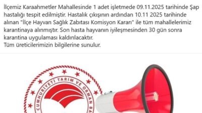Aydın'ın Bozdoğan ilçesinde, 9 Kasım 2025'te Karaahmetler Mahallesi'nde tespit edilen
