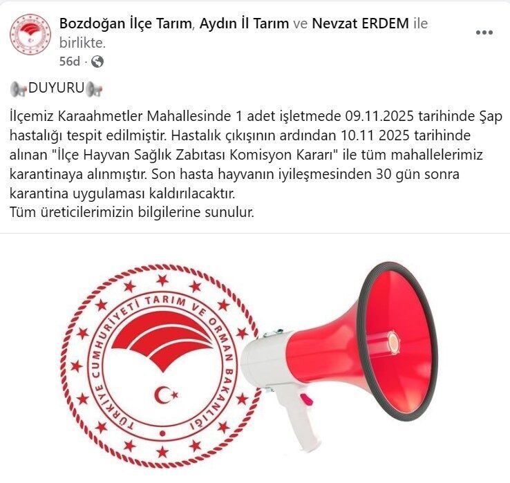 Aydın'ın Bozdoğan ilçesinde, 9 Kasım 2025'te Karaahmetler Mahallesi'nde tespit edilen