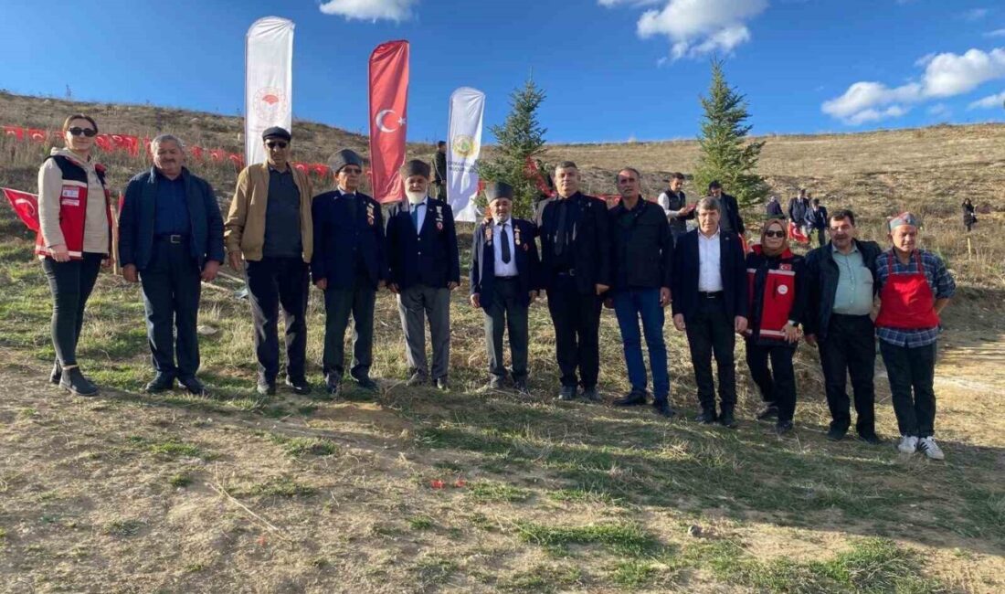 Bilecik'in Bozüyük ilçesinde, şehitler ve gaziler anısına mevlit programı düzenlenip