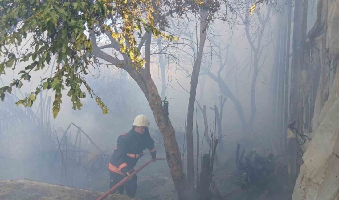 Mersin’in Bozyazı İlçesinde Sabah Saatlerinde Çıkan Yangın, Seralarda Hasara Yol Açtı Mersin'in Bozyazı ilçesinde sabah saatlerinde çıkan yangın, Çubukkoyağı ve Kaledibi
