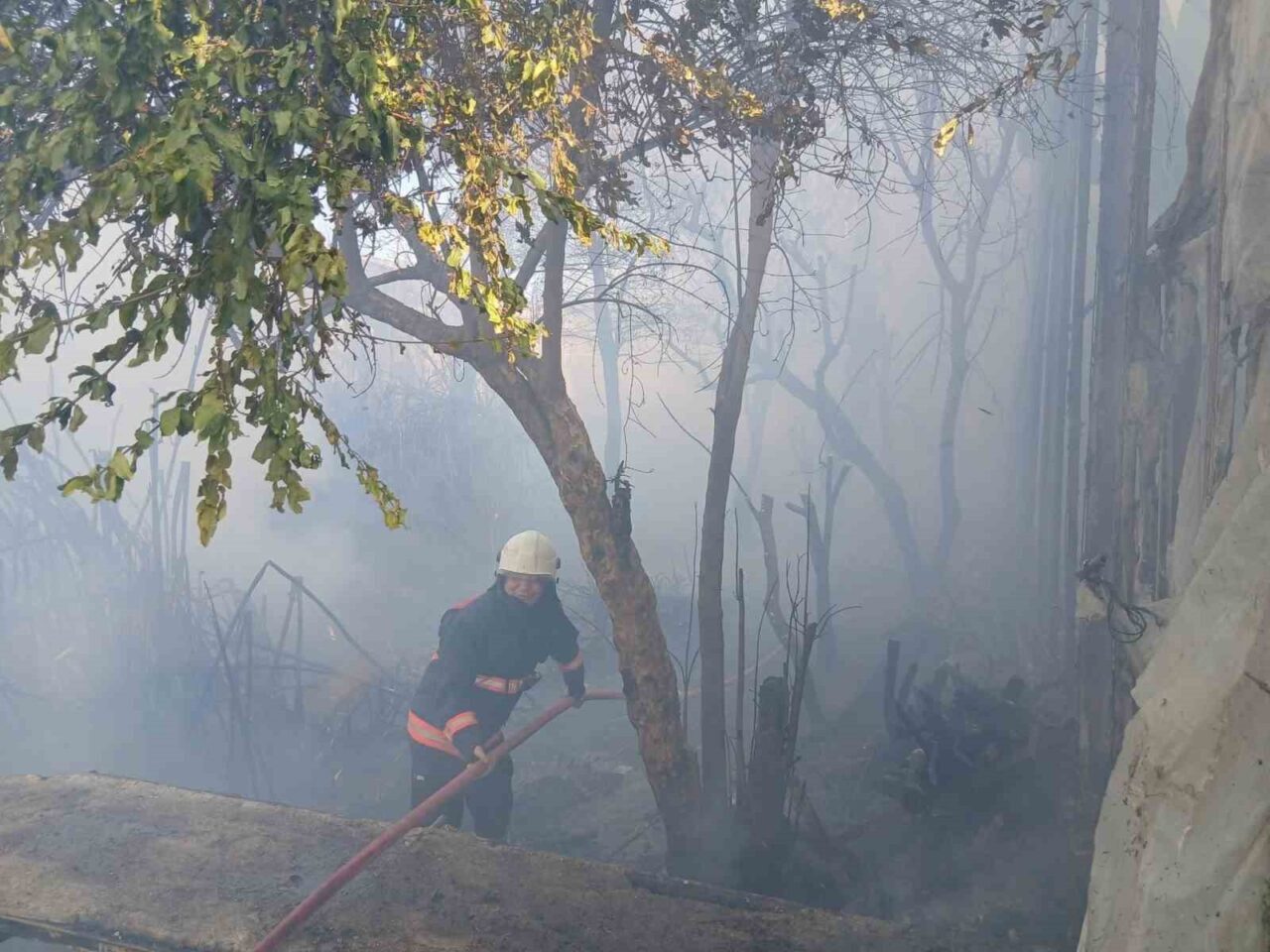 Mersin'in Bozyazı ilçesinde sabah saatlerinde çıkan yangın, Çubukkoyağı ve Kaledibi
