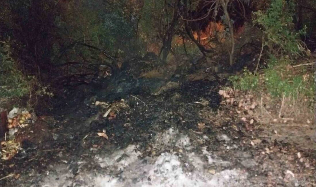 Burdur'un Bucak ilçesi Taşyayla köyünde, gece saatlerinde arazideki çalılık alanda