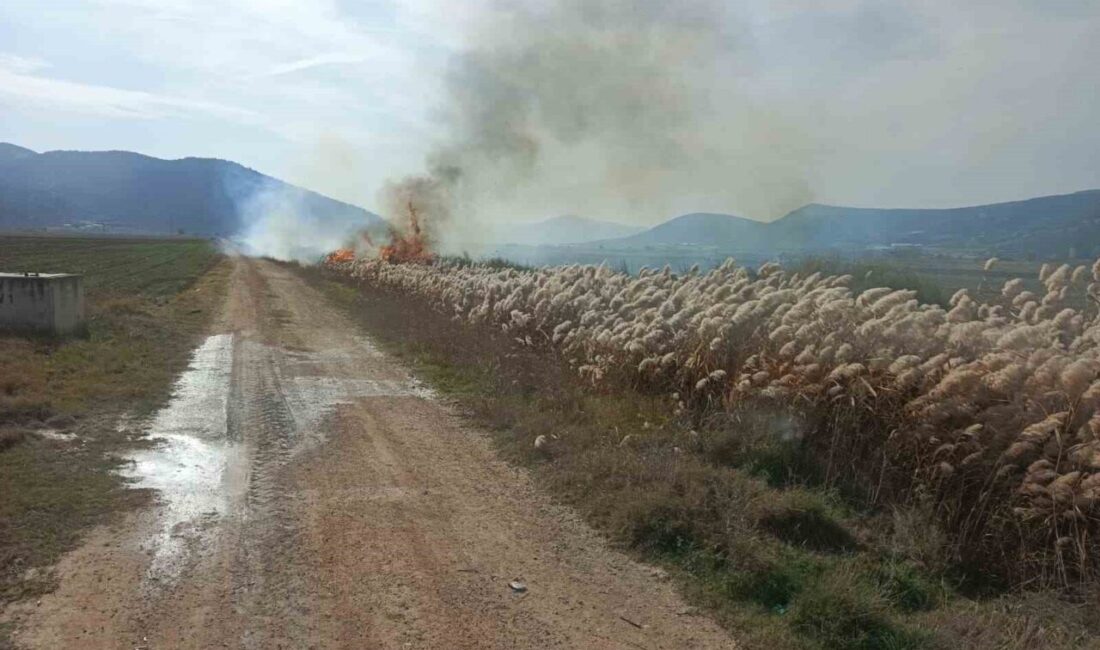 Bucak’ta Sazlık Alanda Meydana Gelen Yangın İtfaiye tarafından Söndürüldü Burdur'un Bucak ilçesindeki İncirdere köyünde sazlık alanda çıkan yangın, itfaiye