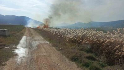 Burdur'un Bucak ilçesindeki İncirdere köyünde sazlık alanda çıkan yangın, itfaiye