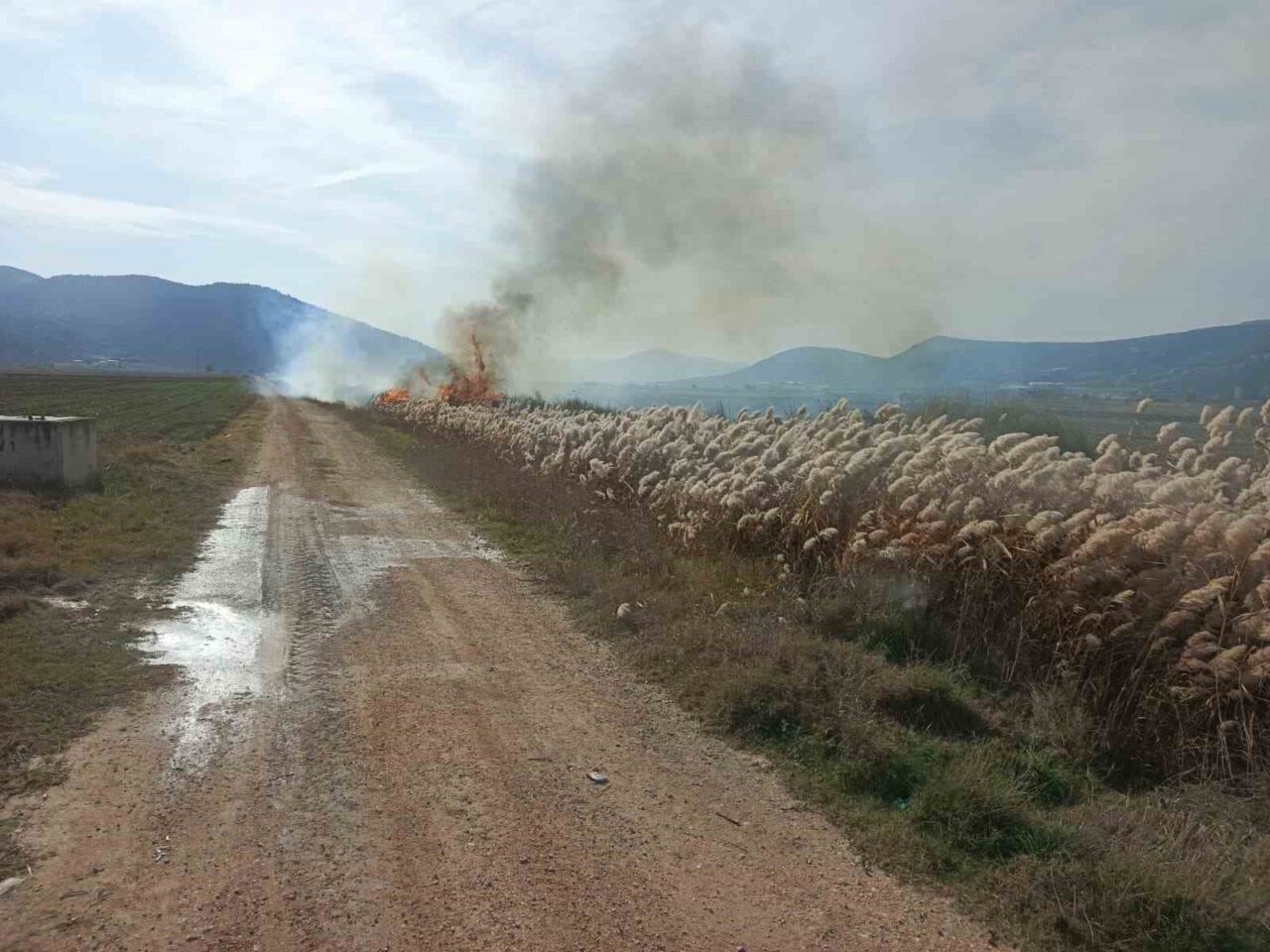 Burdur'un Bucak ilçesindeki İncirdere köyünde sazlık alanda çıkan yangın, itfaiye