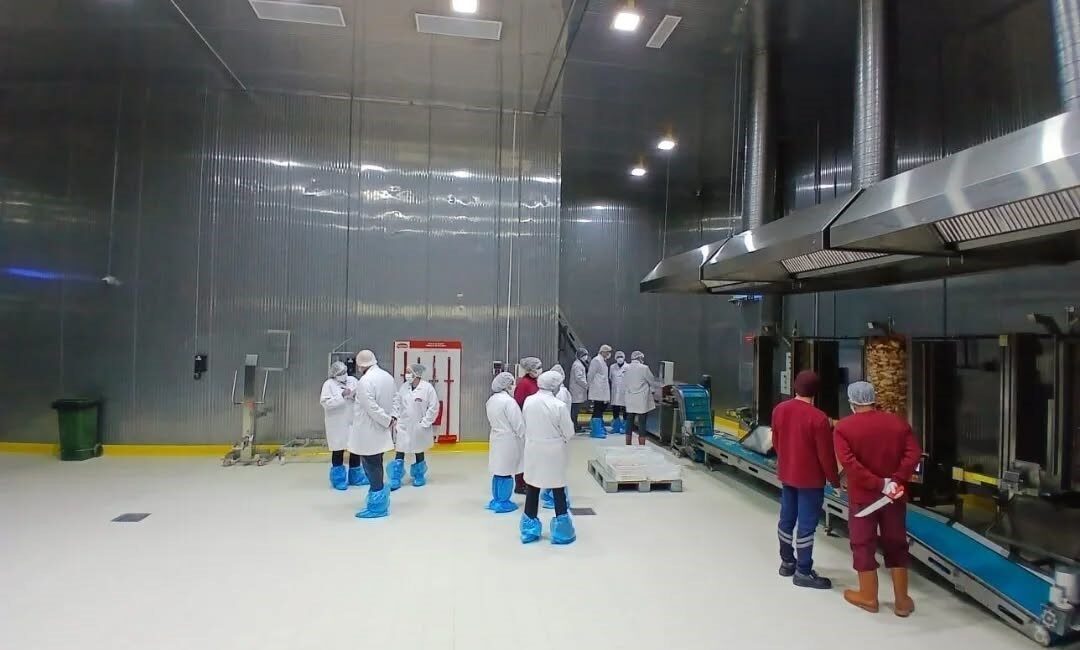 Aydın’ın Buharkent ilçesindeki kanatlı döner üretim tesisi, Aydın Tarım ve