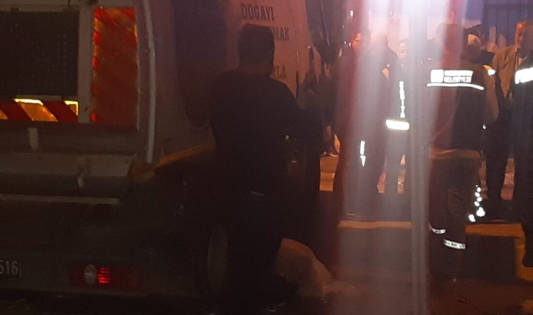 Bursa'nın Karacabey ilçesinde, geri manevra yapan çöp kamyonu 78 yaşındaki