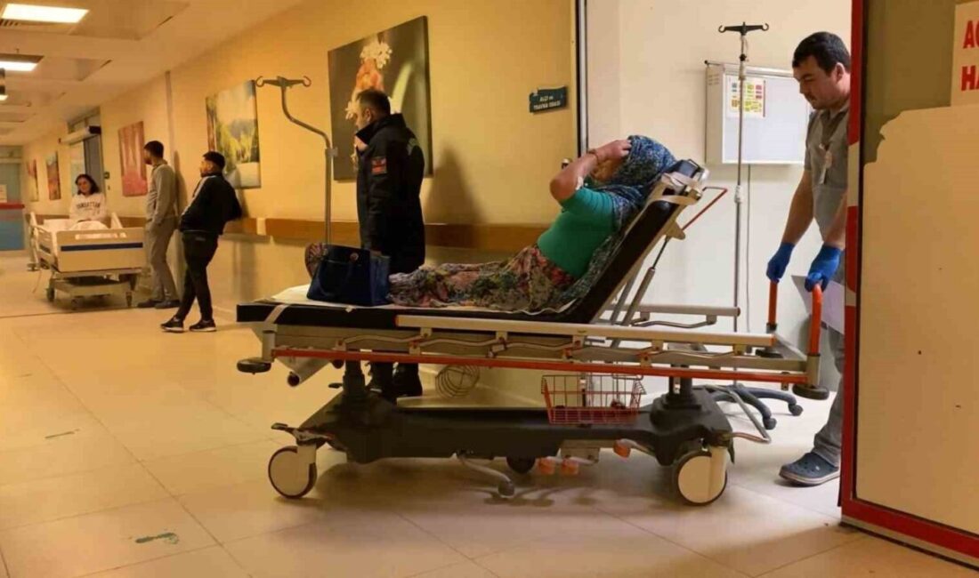 Bursa'nın Kestel ilçesinde Asiye W. (52) yönetimindeki otomobil, lastiğinin patlaması