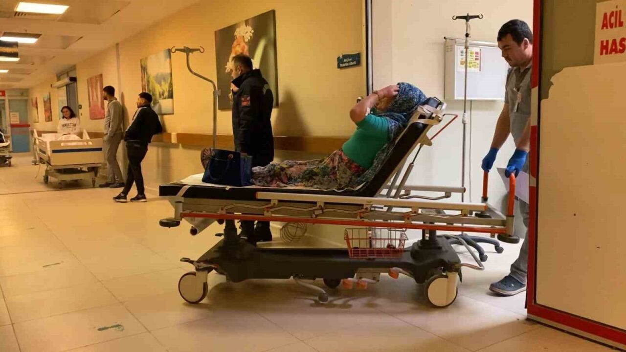 Bursa'nın Kestel ilçesinde Asiye W. (52) yönetimindeki otomobil, lastiğinin patlaması