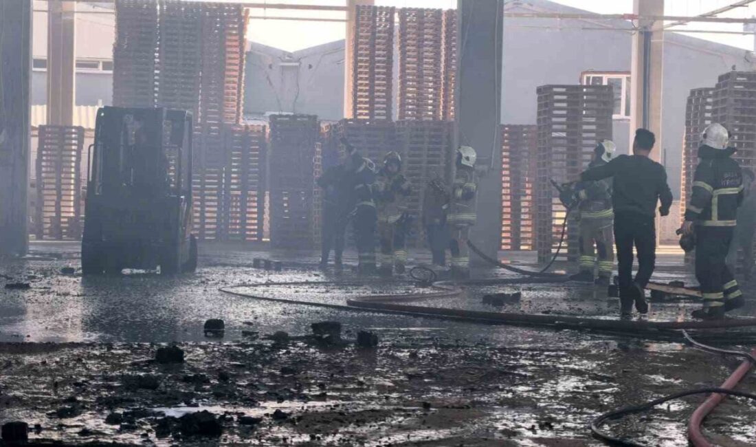 Bursa'nın İnegöl ilçesinde bir palet fabrikasında çıkan yangın, ahşap paletlerin