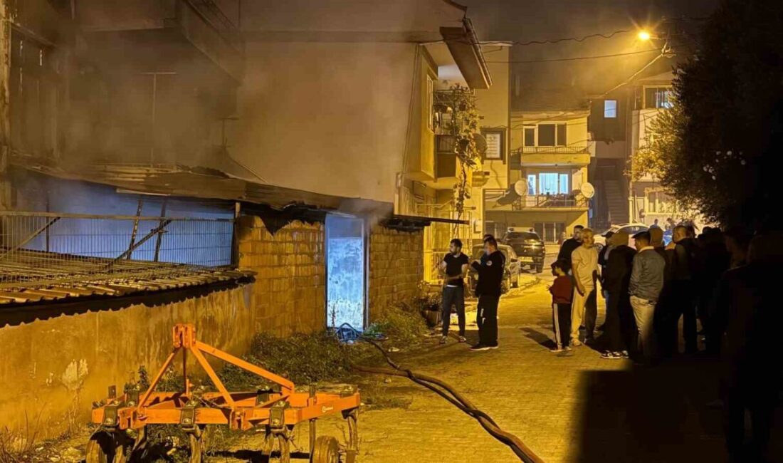 Bursa'nın İznik ilçesindeki Selçuk Mahallesi'nde, zemin katında çıkan yangın paniğe