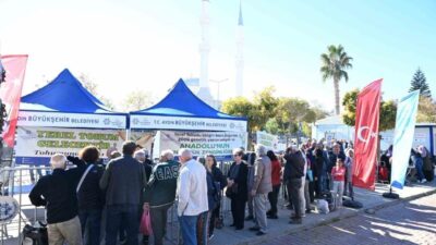 Aydın Büyükşehir Belediyesi, Ata tohumlarından üretilen kışlık fideleri Didim'de vatandaşlara