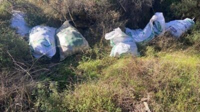 Aydın'ın Çine ilçesindeki Topçam Mahallesi'nde 10 çuval çam fıstığı çalındı.