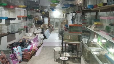 Adıyaman'da sabah saatlerinde iki hırsız, camını kırdıkları petshoptan 9 papağan