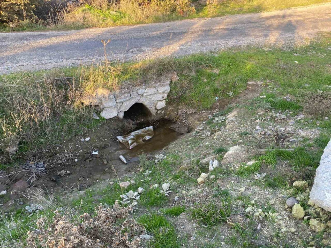 Çanakkale'nin Ayvacık ilçesine bağlı İlyasfakı köyünde boş bir arazide yeni