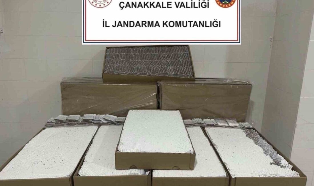 Çanakkale'nin Çan ilçesinde, İl Jandarma Komutanlığı'nın düzenlediği operasyonda 120 bin