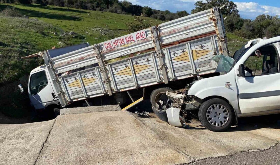 Çanakkale'nin Ayvacık ilçesinde ticari araç ile kamyonetin çarpışması sonucu 5